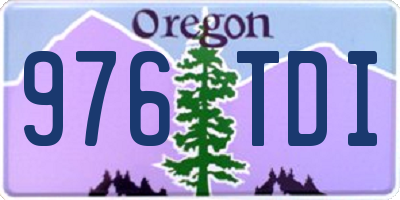 OR license plate 976TDI