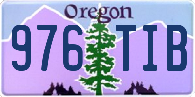 OR license plate 976TIB