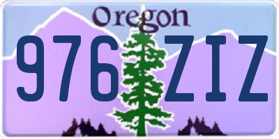 OR license plate 976ZIZ