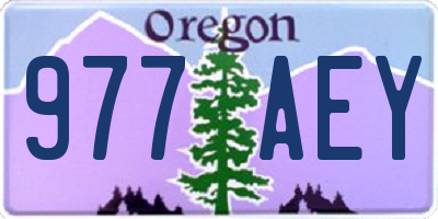 OR license plate 977AEY