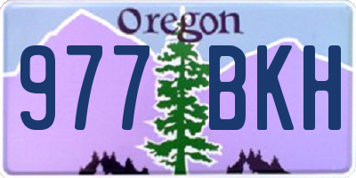 OR license plate 977BKH