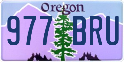 OR license plate 977BRU