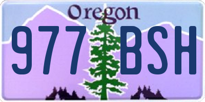 OR license plate 977BSH