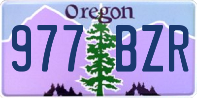 OR license plate 977BZR