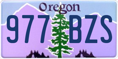 OR license plate 977BZS