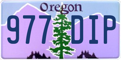 OR license plate 977DIP