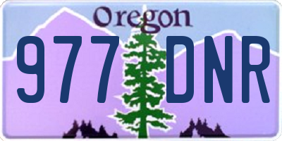 OR license plate 977DNR