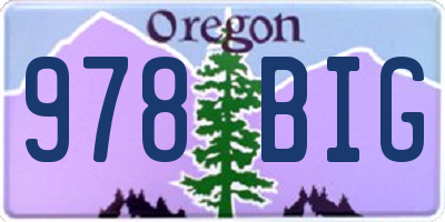 OR license plate 978BIG