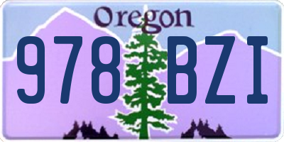 OR license plate 978BZI
