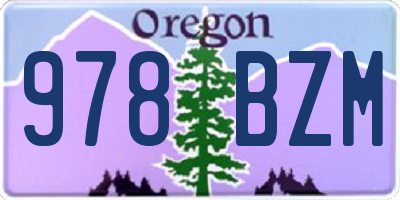 OR license plate 978BZM