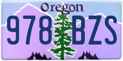 OR license plate 978BZS