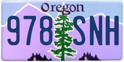 OR license plate 978SNH