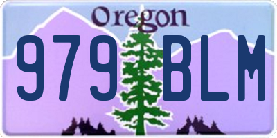 OR license plate 979BLM