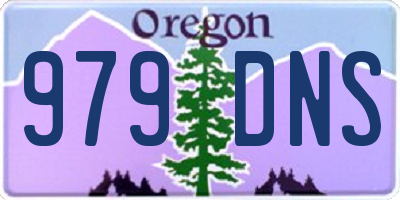 OR license plate 979DNS