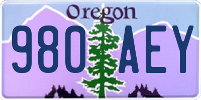 OR license plate 980AEY