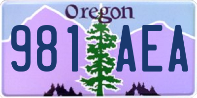 OR license plate 981AEA