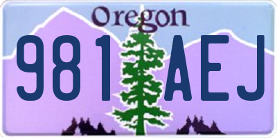 OR license plate 981AEJ