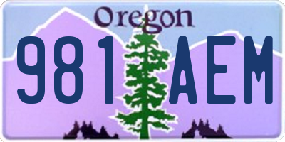 OR license plate 981AEM