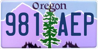 OR license plate 981AEP