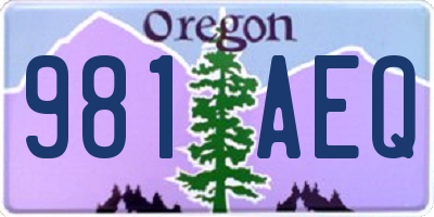 OR license plate 981AEQ
