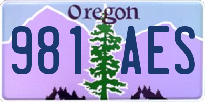 OR license plate 981AES