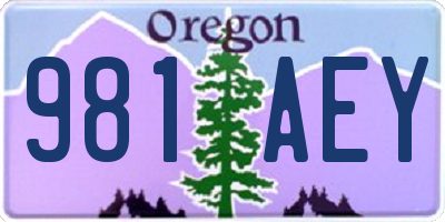 OR license plate 981AEY