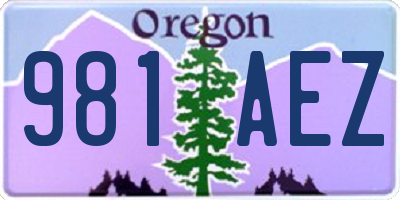 OR license plate 981AEZ