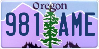 OR license plate 981AME