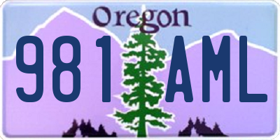 OR license plate 981AML