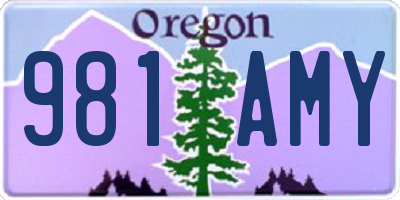 OR license plate 981AMY