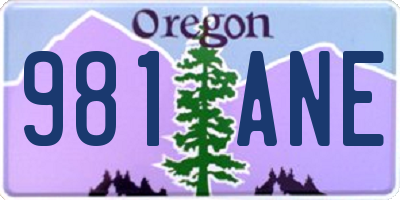OR license plate 981ANE