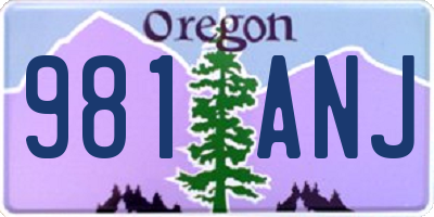 OR license plate 981ANJ