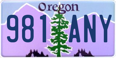 OR license plate 981ANY