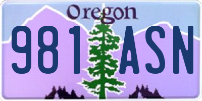 OR license plate 981ASN