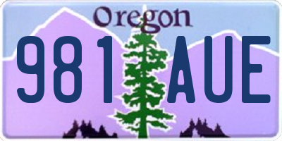 OR license plate 981AUE