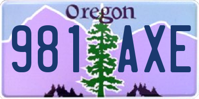 OR license plate 981AXE