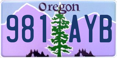 OR license plate 981AYB