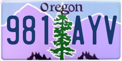 OR license plate 981AYV