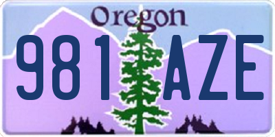 OR license plate 981AZE