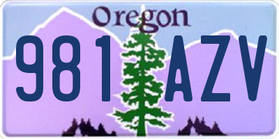 OR license plate 981AZV