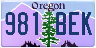 OR license plate 981BEK