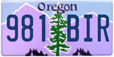 OR license plate 981BIR
