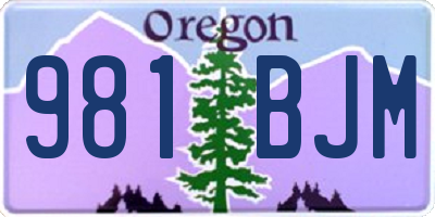 OR license plate 981BJM