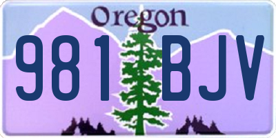 OR license plate 981BJV