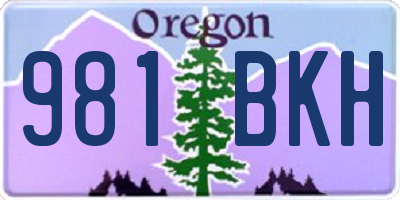 OR license plate 981BKH