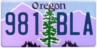 OR license plate 981BLA