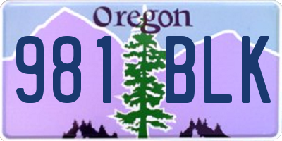 OR license plate 981BLK