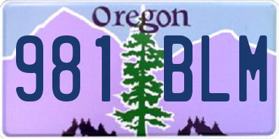 OR license plate 981BLM