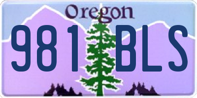 OR license plate 981BLS