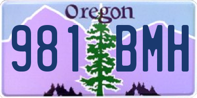 OR license plate 981BMH